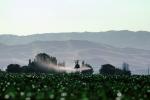 Crop Dusting, Aerial Spraying, Pesticide, Hiller UH-12, Central Valley, sprayer, TAHV01P12_16