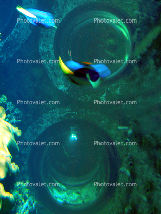 Underwater Portholes
