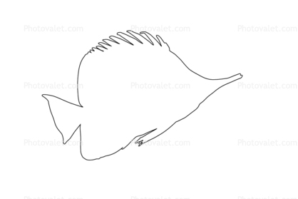 Long-nose Butterfly Fish Outline, (Forcipiger flavissimus), line drawing, shape