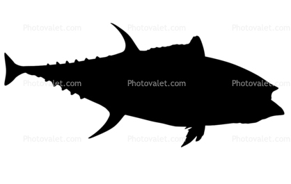 Tuna Fish Silhouette, logo, shape