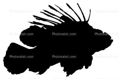 Lionfish silhouette, logo, Scorpaeniformes, Scorpaenidae, scorpionfish, venemous, shape