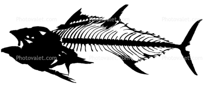 Tunafish Skeleton silhouette, logo, shape