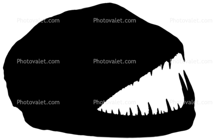 Vampire Characin, (Hydrolycus Scomberoides), teeth, jaw, fish head, mean, scary silhouette, shape, logo