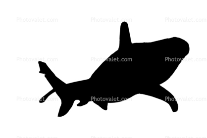 Shark Silhouette, logo, shape