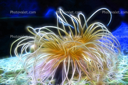 Green Anemone, Paintography, Abstract