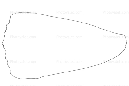 Marbled Cone Snail outline, line drawing, (Conus marmoreus), Conoidea, Conidae, shell, predatory sea snail, venomous, poisonous, shape, logo