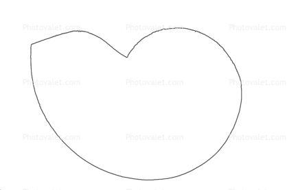 Nautilus Outline, line drawing, shape