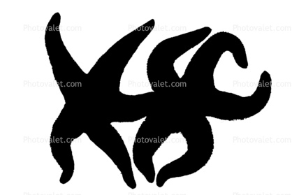 starfish silhouette, lovers, love, logo, shape