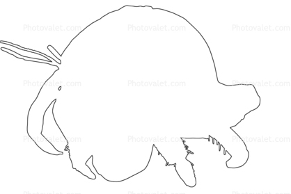Land Hermit Crab outline, [Coenobitidae], line drawing, shape