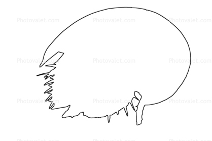Horseshoe Crab outline, line drawing, shape
