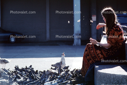 Woman Feeding the Brids, Pigeons