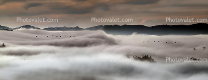 Sonoma Mountain Range, Fog, Panorama, Two-Rock