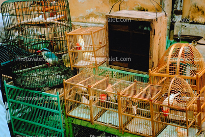 Bird Cages, imprisonment