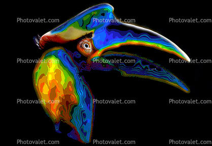 Psychedelic Toucan, psyscape