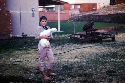 Girl, Goose, Backyard, 1950s