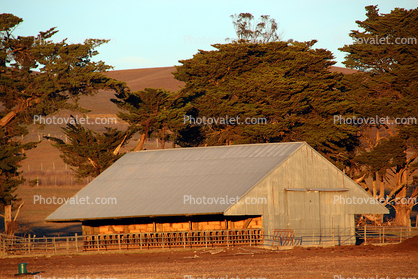 Hay Barn, Marin County, California