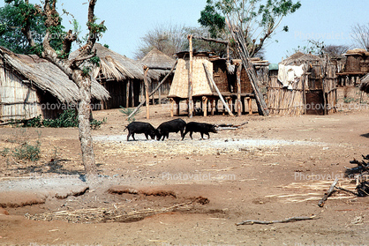 Village, huts, Africa, Shanty Town, Grass Huts