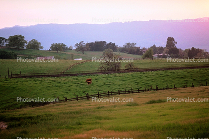 Hills, Hillside, Fence, Cottagecore, Grass Field