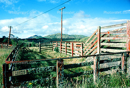 Herding pen, Gisborne, New Zealand