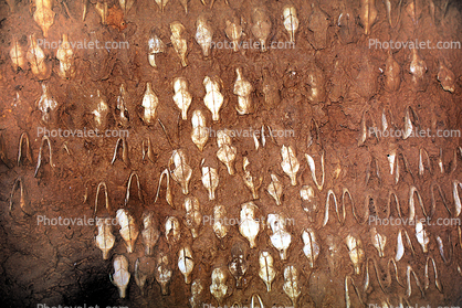 Skulls embedded in mud wall, Dogon, Mali