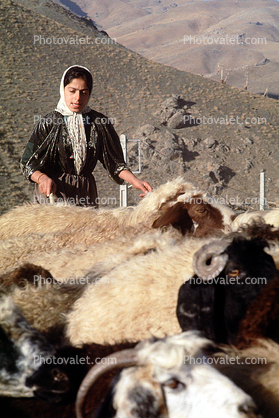 Woman Sheep Herder, Dougardare, Iran