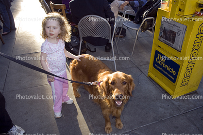 large dog breed, North-Beach, San Francisco, Cafe
