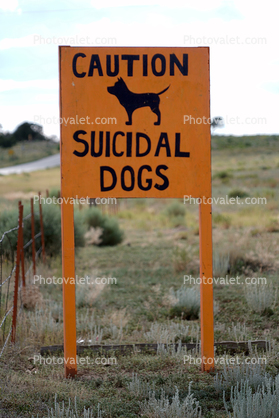 Caution, Suicidal Dogs