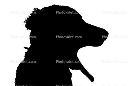 dog yawning silhouette, logo, shape