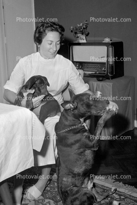 Woman with dogs, radio, 1950s