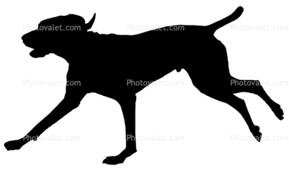 dog running silhouette, logo, shape