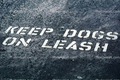Keep Dog on Leash