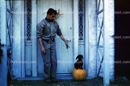 Dachshund, Wiener Dog, Pumpkin, Door, Doorway, 1950s, small dog breed