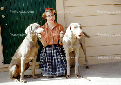 Rottweiler, Woman and her Dogs, 1950s