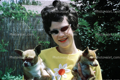 Chihuahua, small dog breed, cateye sunglasses, 1960s