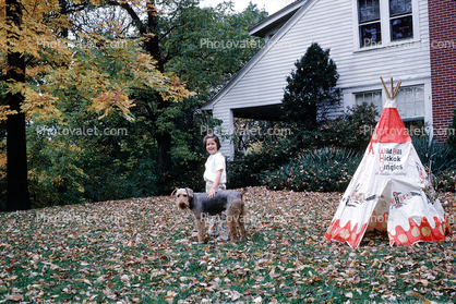 Autumn, leaves, Terrier, backyard, home, house, American Hickok Jungles, 1950s
