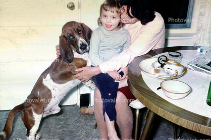 Basset Hound, Sad Eyes, Cute, Funny, Smiles, Girl, Table, droopy, floppy ears, July 1967