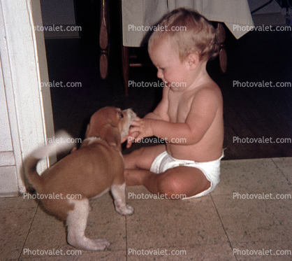 Baby with Puppy, cute, wagging tail, cloth diaper