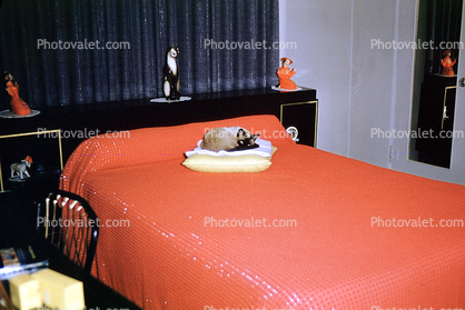 Red Bed, Siamese Cat, pillow