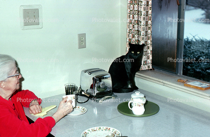 Toaster, Plates, Window, Black Cat, table, grandma, woman, little panther, 1960s