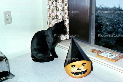 Pumpkin with a dunce cap, table, Wall Socket, Black Cat, tiny black panther
