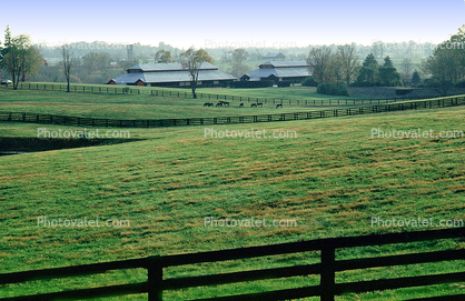 Horses, Fields, fences, barn, buildings, Lexington, Kentucky