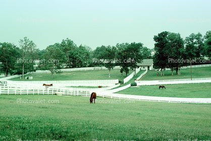 Eaton Farm, Lexington, Kentucky