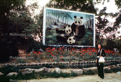 Panda Bear, Beijing