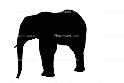 Elephant Silhouette, logo, baby, shape