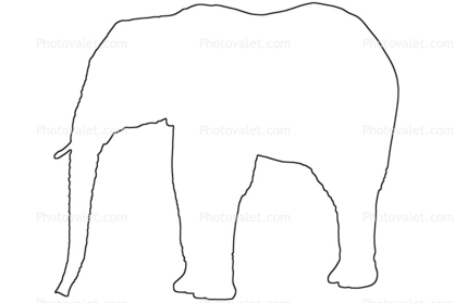 Elephant outline, line drawing, baby, shape