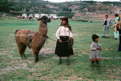 Llama, (Lama glama), Woman, Child
