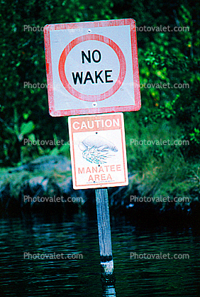 No Wake, Caution Manatee Area, sign