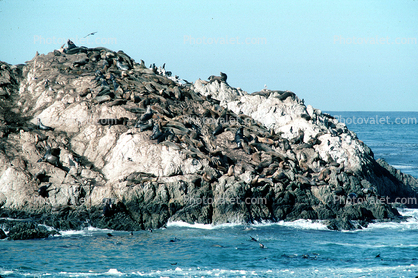 Monterey, Pacific Ocean, California