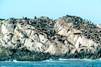 Seal Rock, Monterey, Pacific Ocean, California