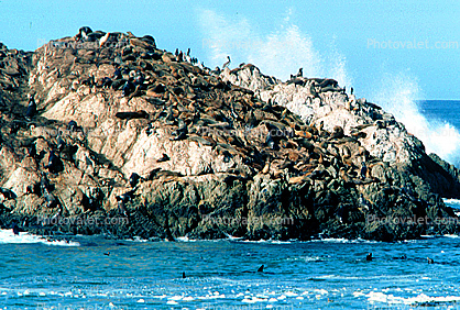 Carmel, Monterey, Pacific Ocean, California